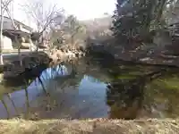 稲荷社(忍野八海 出口池)の自然