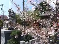 總社 和田八幡宮(福井県)