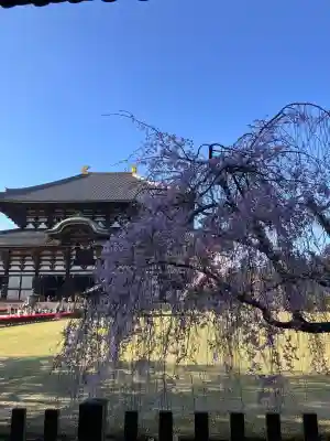 東大寺の{uncategorized: "未分類", other: "その他", undefined: "問題あり", building: "その他建物", grave: "お墓", sacred_gate: "鳥居", guardian: "狛犬", statue: "像", buddha: "仏像", history: "歴史", nature: "自然", garden: "庭園", animal: "動物", pagoda: "塔", temizu: "手水舎", mountain_gate: "山門・神門", sanctuary: "本殿・本堂", subordinate: "末社・摂社", art: "芸術", scenery: "景色", jizo: "地蔵", ema: "絵馬", goshuin: "御朱印", omikuji: "おみくじ", items: "授与品その他", amulet: "お守り", goshuincho: "御朱印帳", eats: "食事", festival: "お祭り", votive_dance: "神楽", shichigosan: "七五三参", wedding: "結婚式", experience: "体験その他", initially: "初詣", around: "周辺", anti_infection: "感染症対策"}
