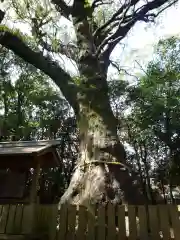 磯神社の庭園