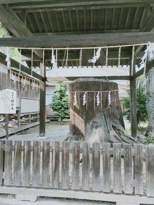 須賀神社の自然