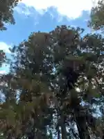 大宮温泉神社(栃木県)