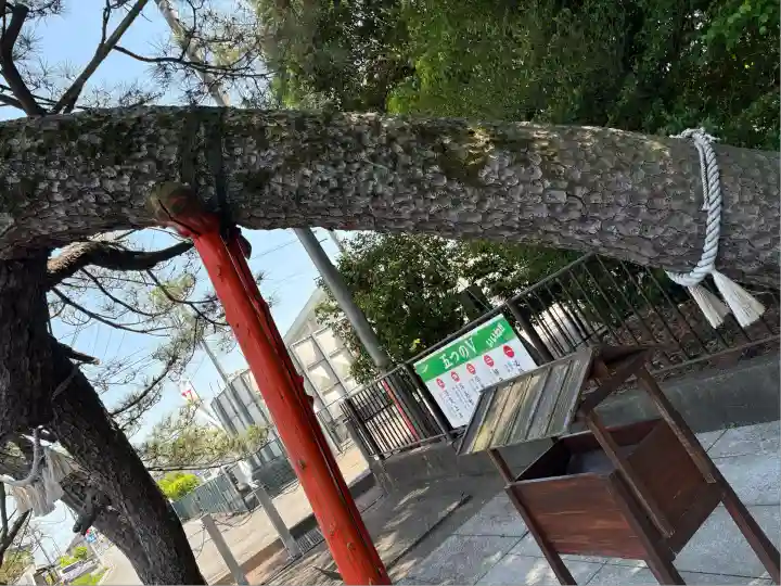 玉村八幡宮(群馬県)