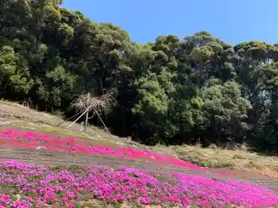 普門寺(切り絵御朱印発祥の寺)(愛知県)