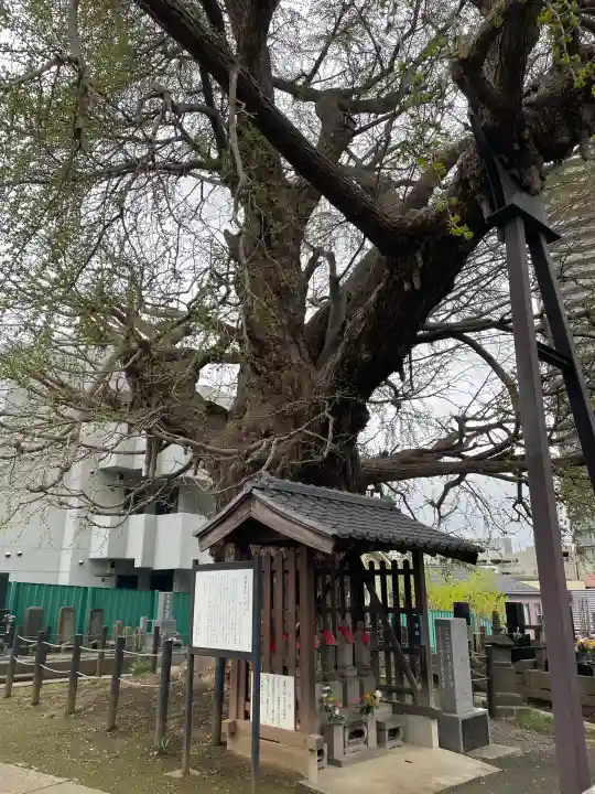 真福寺の{uncategorized: "未分類", other: "その他", undefined: "問題あり", building: "その他建物", grave: "お墓", sacred_gate: "鳥居", guardian: "狛犬", statue: "像", buddha: "仏像", history: "歴史", nature: "自然", garden: "庭園", animal: "動物", pagoda: "塔", temizu: "手水舎", mountain_gate: "山門・神門", sanctuary: "本殿・本堂", subordinate: "末社・摂社", art: "芸術", scenery: "景色", jizo: "地蔵", ema: "絵馬", goshuin: "御朱印", omikuji: "おみくじ", items: "授与品その他", amulet: "お守り", goshuincho: "御朱印帳", eats: "食事", festival: "お祭り", votive_dance: "神楽", shichigosan: "七五三参", wedding: "結婚式", experience: "体験その他", initially: "初詣", around: "周辺", anti_infection: "感染症対策"}