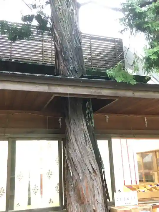 越ヶ谷久伊豆神社のその他建物