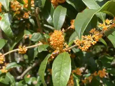 吉祥院(東京都)