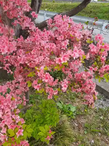 長谷寺(岩手県)