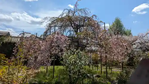 橋寺 放生院(京都府)