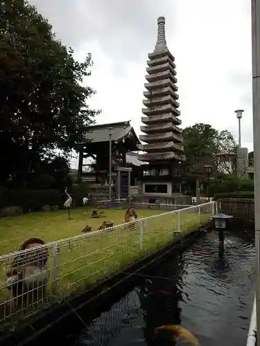 龍光寺の庭園