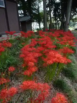 駒形神社の自然