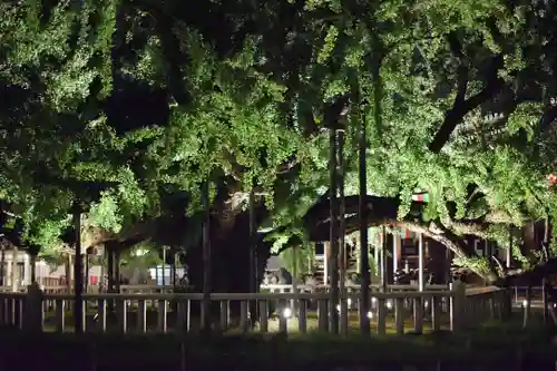 本願寺（西本願寺）(京都府)