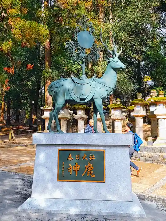 春日大社の狛犬