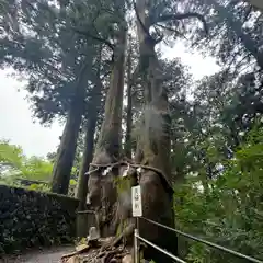 玉置神社(奈良県)