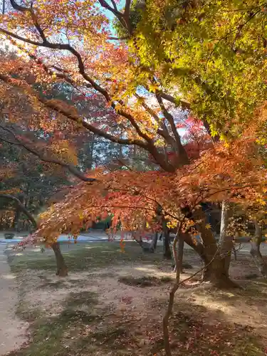 曹源寺(岡山県)