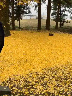 桜町二宮神社のその他建物