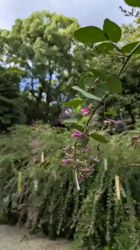 梨木神社(京都府)
