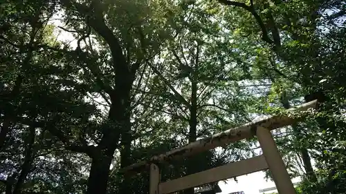 若宮神明社のその他建物