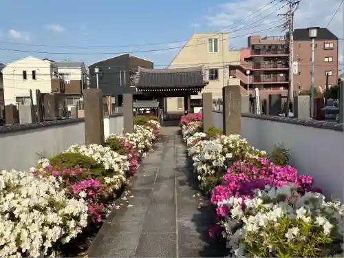 自性院(東京都)