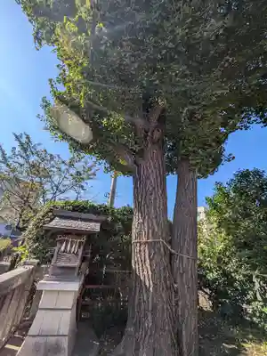 元宿堰稲荷大神(東京都)