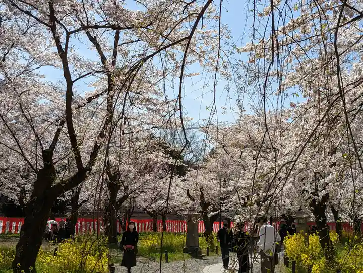 平野神社(京都府)