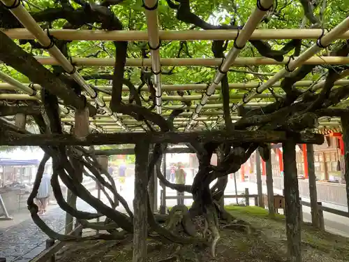 春日大社の庭園