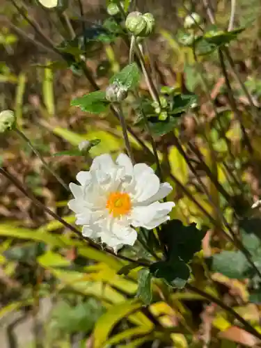 開成山大神宮(福島県)