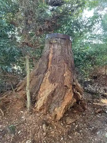 星宮神社(栃木県)