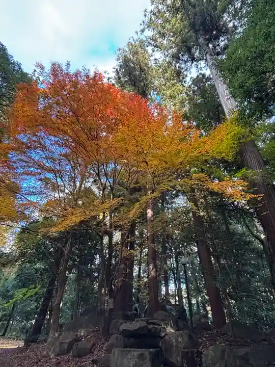 伊和神社(兵庫県)