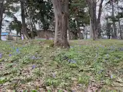 新十津川神社(北海道)