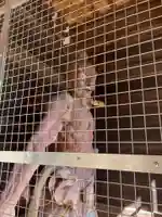 切幡寺(徳島県)