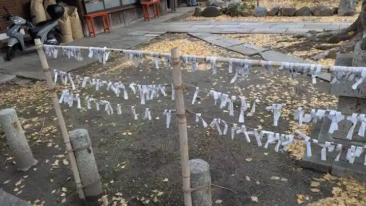 縣神社のおみくじ
