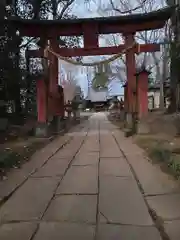 諏訪神社(埼玉県)