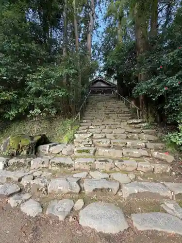 神魂神社の{uncategorized: "未分類", other: "その他", undefined: "問題あり", building: "その他建物", grave: "お墓", sacred_gate: "鳥居", guardian: "狛犬", statue: "像", buddha: "仏像", history: "歴史", nature: "自然", garden: "庭園", animal: "動物", pagoda: "塔", temizu: "手水舎", mountain_gate: "山門・神門", sanctuary: "本殿・本堂", subordinate: "末社・摂社", art: "芸術", scenery: "景色", jizo: "地蔵", ema: "絵馬", goshuin: "御朱印", omikuji: "おみくじ", items: "授与品その他", amulet: "お守り", goshuincho: "御朱印帳", eats: "食事", festival: "お祭り", votive_dance: "神楽", shichigosan: "七五三参", wedding: "結婚式", experience: "体験その他", initially: "初詣", around: "周辺", anti_infection: "感染症対策"}