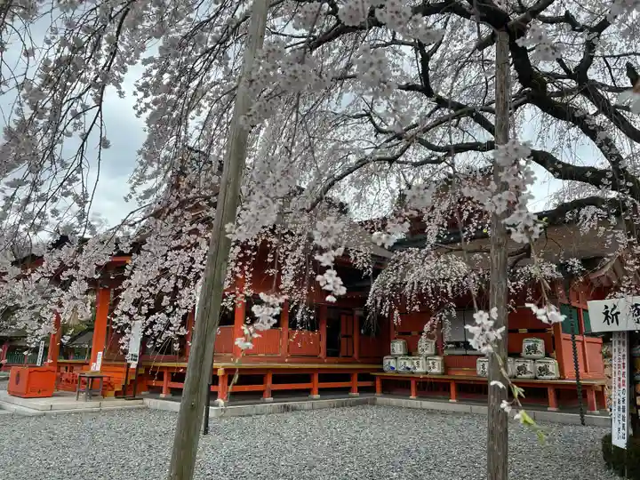 富士山本宮浅間大社の自然
