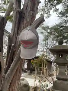 彌彦神社 (伊夜日子神社)(北海道)(2024年04月09日(火) 09時12分03秒投稿)