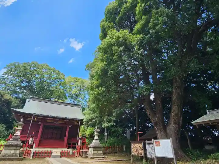 三芳野神社(埼玉県)