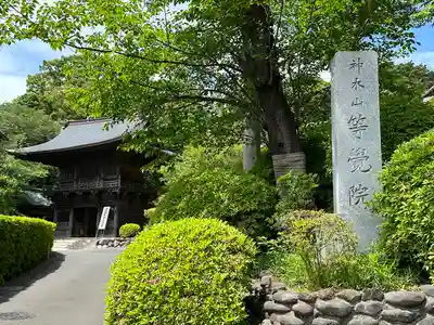 等覚院(神奈川県)