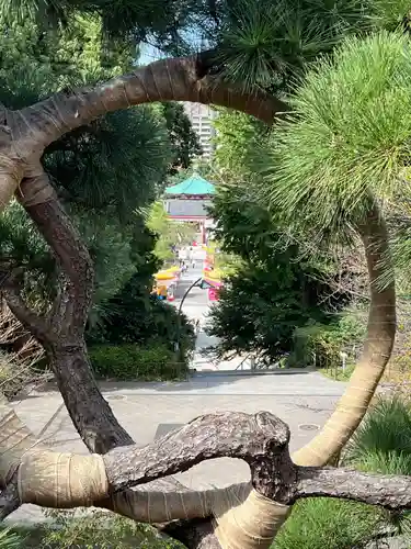 寛永寺不忍池弁天堂(東京都)