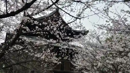 東寺（教王護国寺）(京都府)