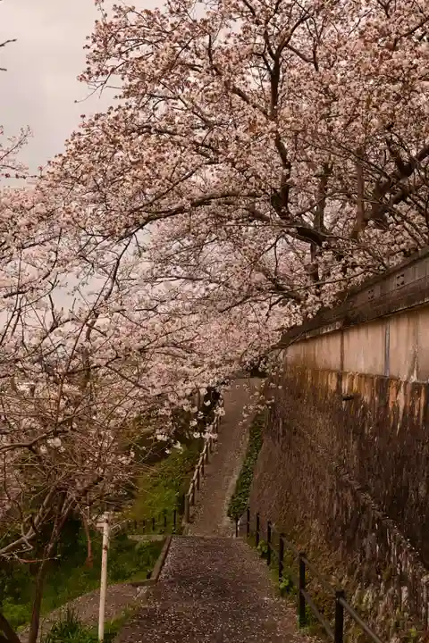 瑞龍寺(沖浦観音)(愛媛県)