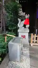 茶ノ木神社の狛犬