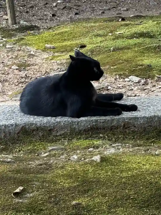 王子神社(徳島県)