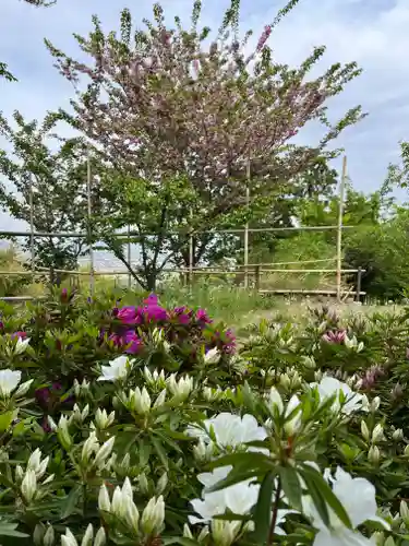 石清水八幡宮(京都府)