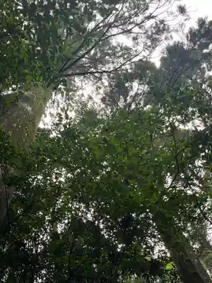 霧島神宮(鹿児島県)