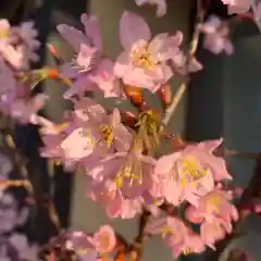 豊景神社の自然