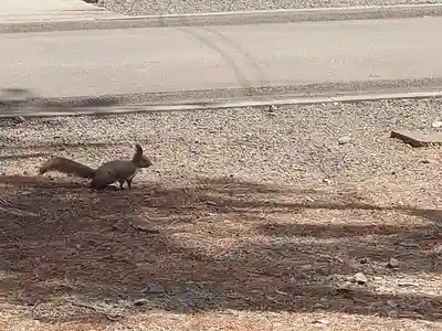 石山神社(北海道)