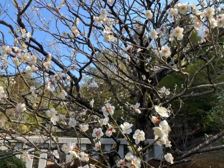 武蔵陵墓地の自然