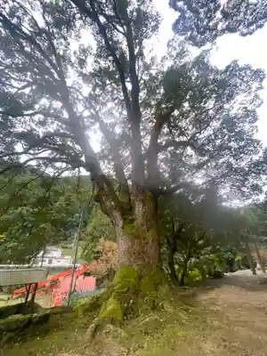 流谷八幡神社(大阪府)