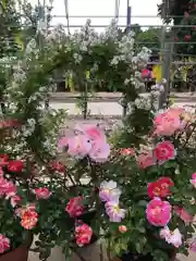 星宮神社の建物その他